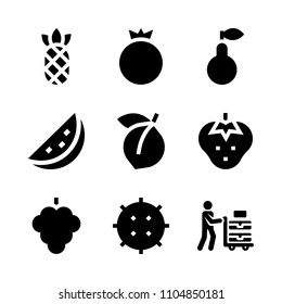 9 Fruits icons vector set. fresh, grocery, section and seed illustration for web.
