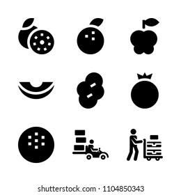 9 Fruits icons vector set. service, part, closeup and spring illustration for web.