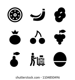 9 Fruits icons vector set. delicious, transport, raspberry and kiwifruit illustration for web.