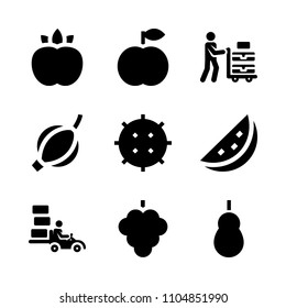 9 Fruits icons vector set. melon, season, branch and peach illustration for web.