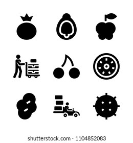 9 Fruits icons vector set. gardener, element, round and kiwi illustration for web.