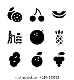 9 Fruits icons vector set. pip, garden, flower and isolated illustration for web.