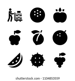 9 Fruits icons vector set. image, one, cart and abstract illustration for web.