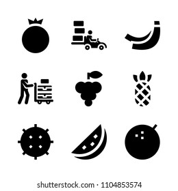 9 Fruits icons vector set. studio, customer, plant and background illustration for web.