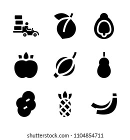 9 Fruits icons vector set. grocery, vegan, shrub and market illustration for web.