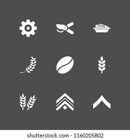 9 grain icons in vector set. meal, nut icon, bean and wheat illustration for web and graphic design
