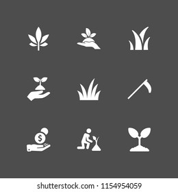 9 grow icons in vector set. grass, agriculture, plant and plant on a hand illustration for web and graphic design