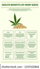 9 Health Benefits Hemp Seeds Vertical Stock Vector (Royalty Free ...