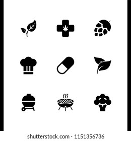 9 herb icons in vector set. marijuana, chef, artichoke and capsule illustration for web and graphic design