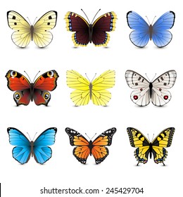 9 highly detailed butterfly icons