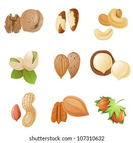 9 highly detailed nut icons