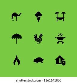 9 hot icons in vector set. bbq, temperature, pork and beach illustration for web and graphic design