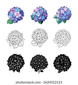 9 Hydrangea Ícones da flor cor, contorno e silhueta no fundo branco
