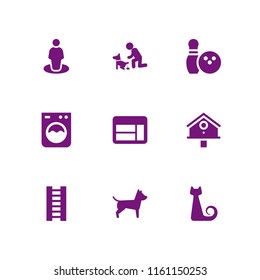9 indoor icons in vector set. dog, cat, window and gps illustration for web and graphic design
