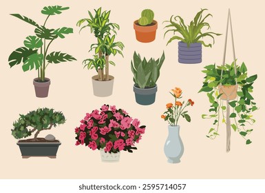 9 isolated house plants in pots with leaves and flowers