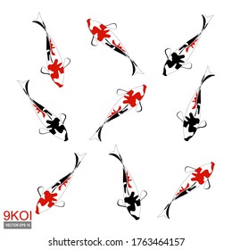 
9 KOI, illustration of 9 KOI in a flat style.