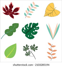 9 leaves vector including monstera and papaya leaf, for background or pattern design and fabric pattern