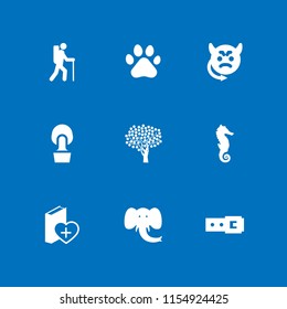 9 life icons in vector set. cat, tree, evil and red cross illustration for web and graphic design