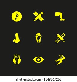 9 long icons in vector set. hairstyle, foot, bird and big nose illustration for web and graphic design