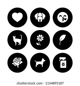 9 love icons in vector set. flower, heart, kiss and health illustration for web and graphic design