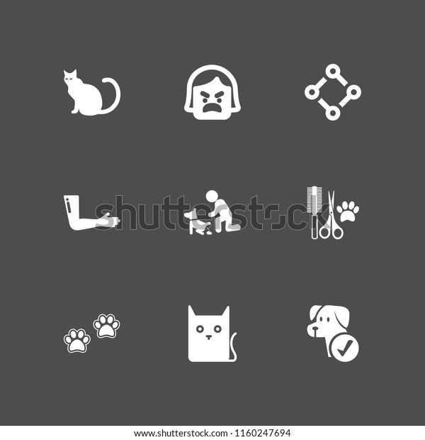 9 lovely icons in
vector set. dog, cat, body part and girl illustration for web and
graphic design