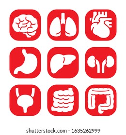 9 main internal organs icons