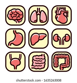 9 main internal organs icons