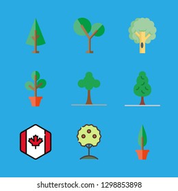 9 maple icons with canada and tree in this set