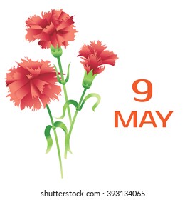 9 may - Victory Day (in Russian). Carnations and greeting inscription. Good for greeting cards, posters, banners and etc. for your design. Vector illustration.