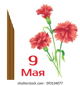 9 may - Victory Day (in Russian). Carnations, St. George ribbon and inscription. Good for greeting cards, posters, banners and etc. for your design. Vector illustration.