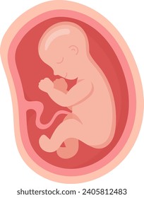 9 Month Human Embryo Inside Womb Vector Illustration