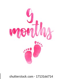 9 months - watercolor handwritten modern calligraphy lettering text. Pregnancy announcement. Baby gender reveal concept illustration. Pink colored for baby girl.