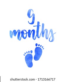 9 months - watercolor handwritten modern calligraphy lettering text. Pregnancy announcement. Baby gender reveal concept illustration. Blue colored for baby boy.