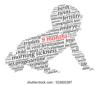 9 months. Word cloud, baby silhouette, italic font, white background. The miracle of birth.