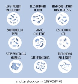 9 most pathogenic bacteria: Escherichia Coli, Staphylococcus Aureus, Streptococcus, Clostridium, Salmonella. Dangerous infections. Bacteriology. Morphology. Microbiology. Vector flat illustration