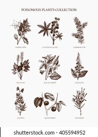 9 most poisonous plants collection. Botanical hand drawn flowers illustration. Vintage noxious herbs and weeds sketch set. Vector  outlines