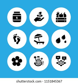 9 natural icons in vector set. seeding, protein, feet and fruit illustration for web and graphic design