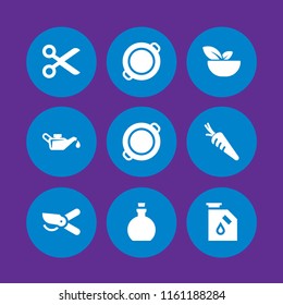 9 olive icons in vector set. oil, paella, olive oil and cut illustration for web and graphic design