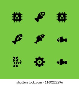 9 peas icons in vector set. nut icon, chip and fish illustration for web and graphic design