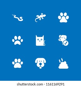 9 pet icons in vector set. paw, pets, snake and poop illustration for web and graphic design