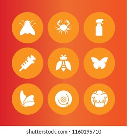 9 prevention icons in vector set. breast, insect, cancer and spray illustration for web and graphic design