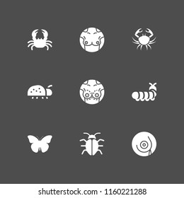 9 prevention icons in vector set. cancer, insect and breast illustration for web and graphic design