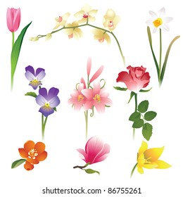 9 realistic flowers icons