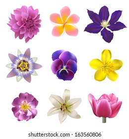 9 realistic flowers over white background