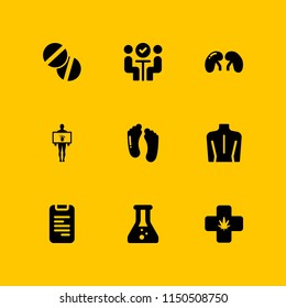 9 research icons in vector set. anatomy, meeting, medicine and flask illustration for web and graphic design