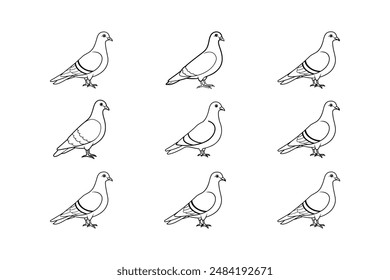 9 Rock pigeon bird line art  icon logo