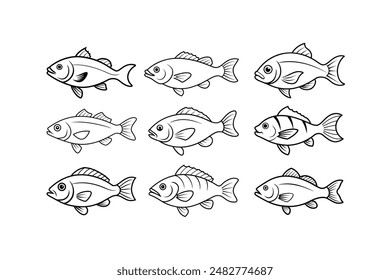 9 Rockfish whole body vector line art illustration icon logo