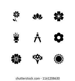 9 rose icons in vector set. compass, flower, bouquet and floral illustration for web and graphic design