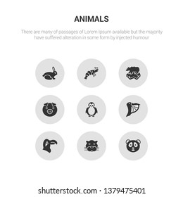 9 round vector icons such as panda bear, panther, parrot, pelican, penguin contains pig, polar bear, prawn, rabbit. panda bear, panther, icon3_, gray animals icons