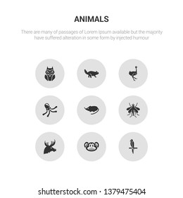 9 round vector icons such as macaw, monkey, moose, mosquito, mouse contains octopus, ostrich, otter, owl. macaw, monkey, icon3_, gray animals icons